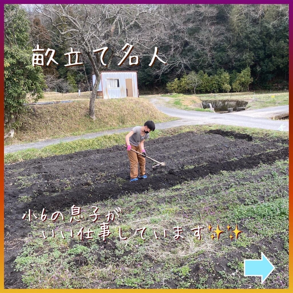 小6の息子が畝立て名人でした