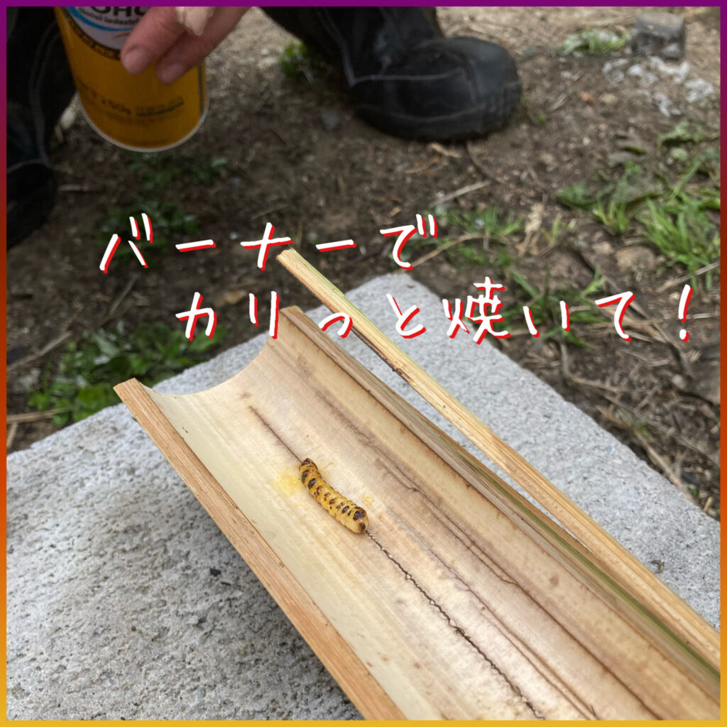 バーナーでカリッと焼いて