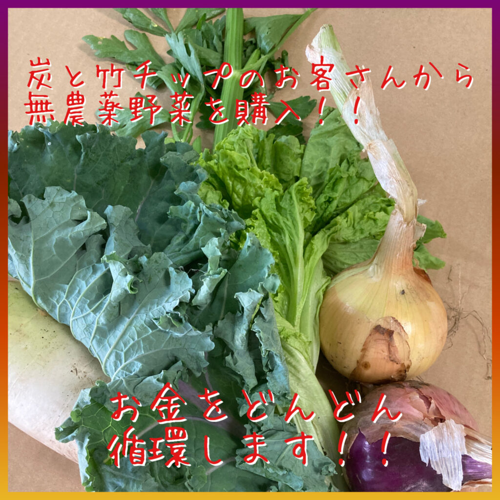 炭と竹チップのお客さんから購入した無農薬野菜