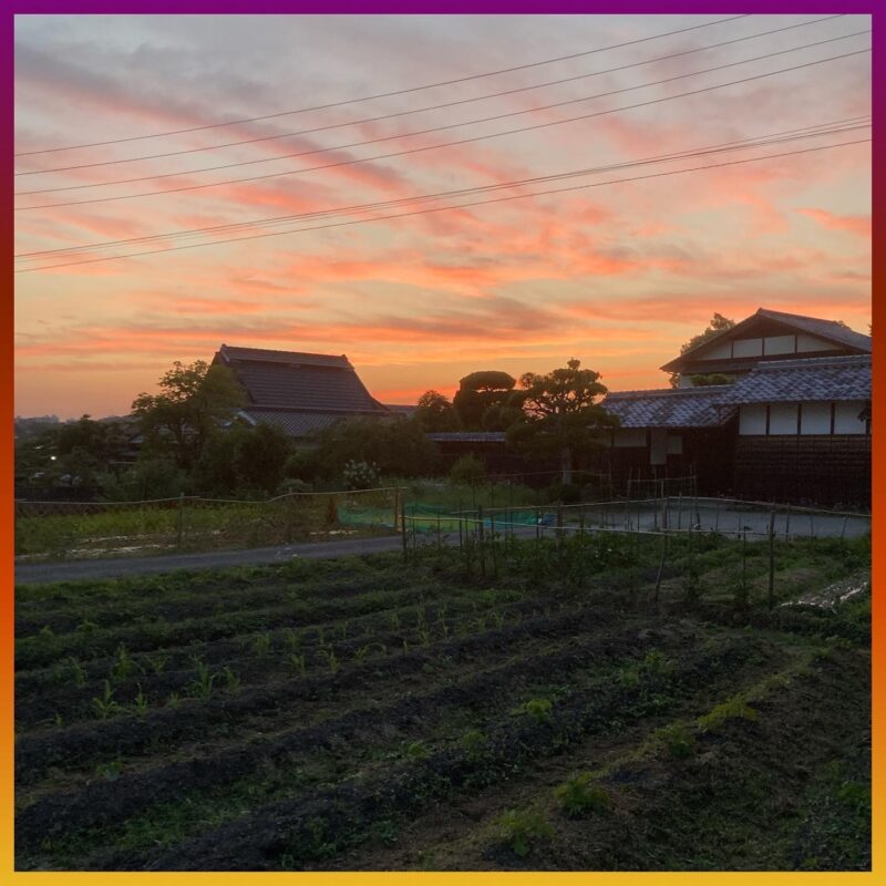畑から見る夕焼け